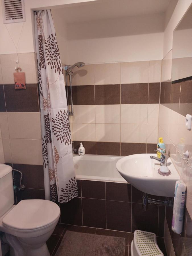 Apartman V Podhuri Krusnych Hor Sokolov Εξωτερικό φωτογραφία